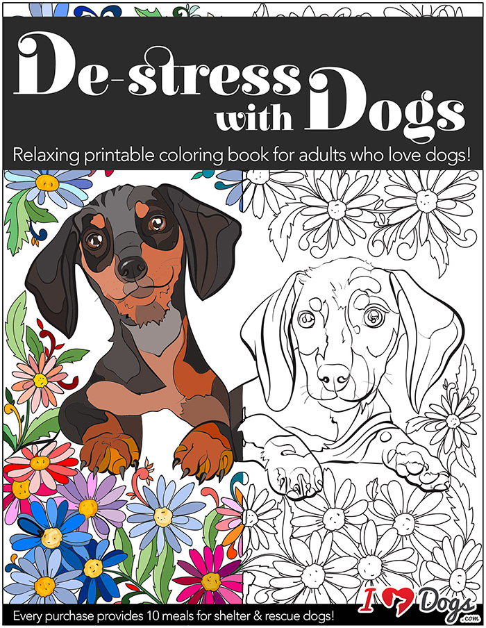 De-stress With Dogs: Downloadable 10 Page Coloring Book for Adults